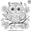 Imaginative Owl Diaries Coloring Pages: Dive Into Fun Adventures