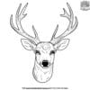 Deer Head Coloring Page