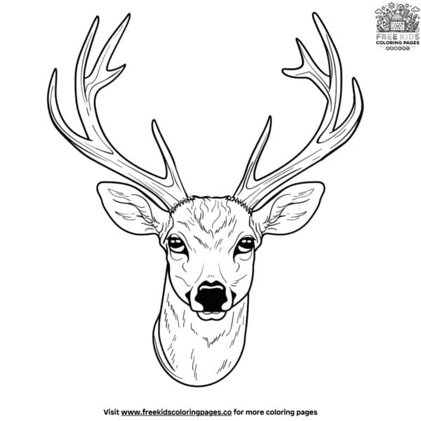 Deer head coloring page