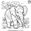 Detailed Elephant Coloring Pages