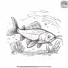 Precise Fish Coloring Pages