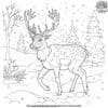 Reindeer And Snowflakes Coloring Pages