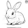 Detailed Realistic Bunny Coloring Pages