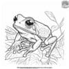 Lively Tree Frog Coloring Pages To Spark Imagination