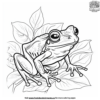 Lively Tree Frog Coloring Pages To Spark Imagination