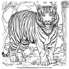 Bengal Tiger Coloring Pages