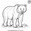 Complex Grizzly Bear Coloring Pages: Explore The Wilderness