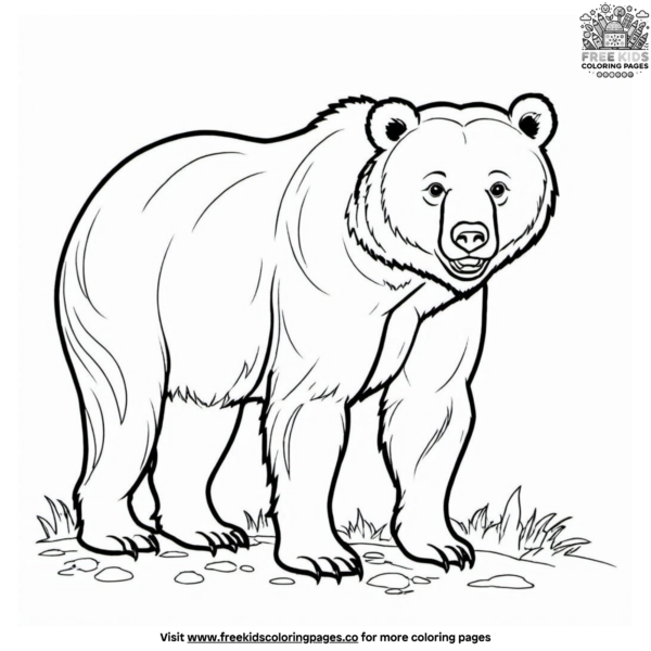 grizzly bear coloring pages