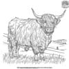 Complex Highland Cow Coloring Pages For Creative Fun