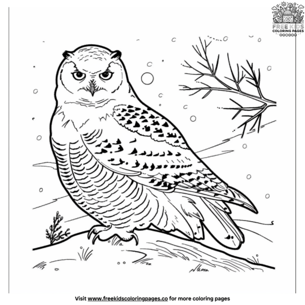 Majestic Snowy Owl Coloring Page: Capture the Arctic Beauty