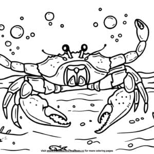 Cool Ocean Coloring Pages Preschool Edition