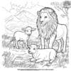 Lion and Lambs Coloring Pages