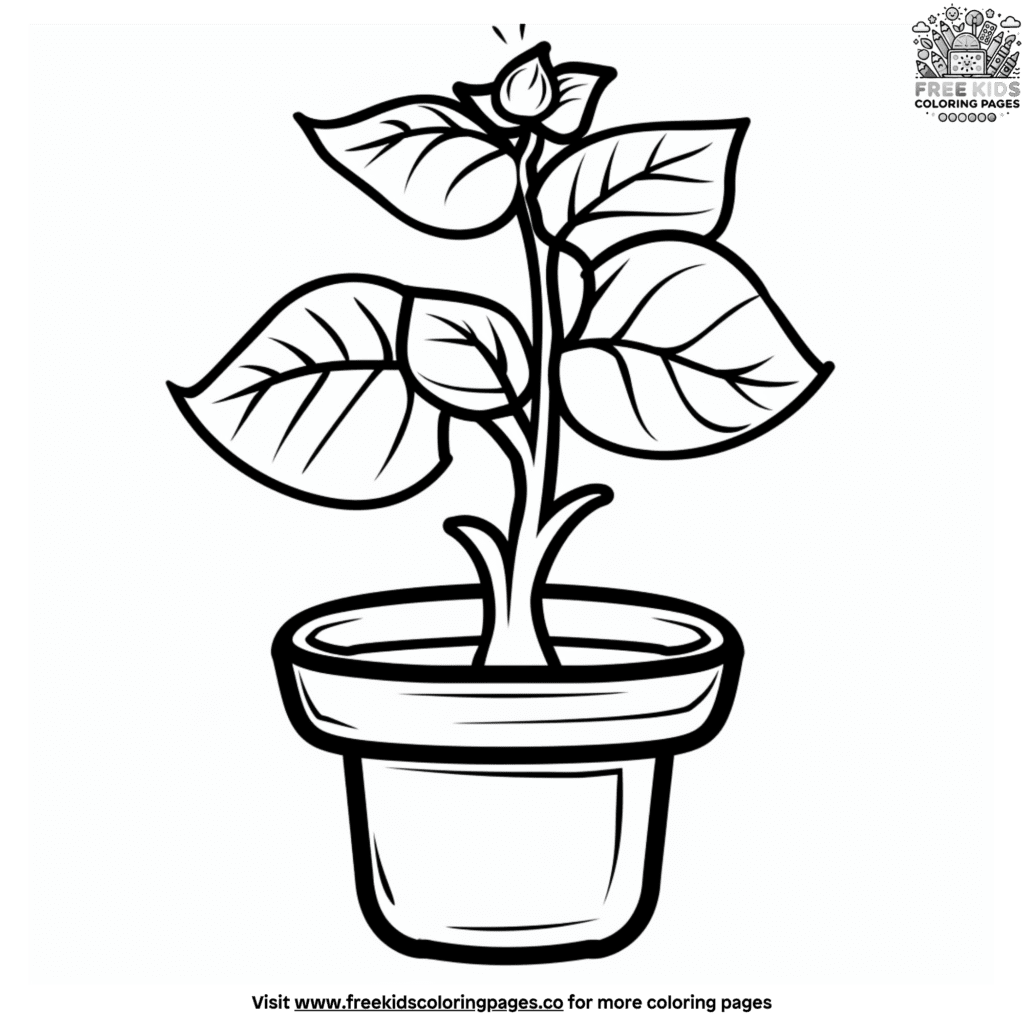 Plant life cycle coloring page collection