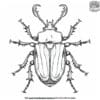 Dung Beetle Coloring Pages