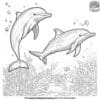 Realistic Dolphin Coloring Pages For Ocean Lovers