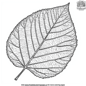 Realistic leaf coloring pages