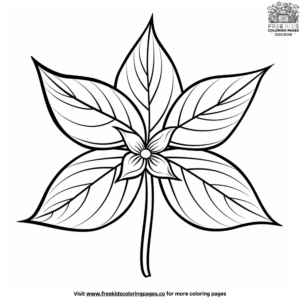 Realistic Leaf Coloring Pages