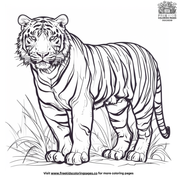 Realistic Tiger Coloring Pages