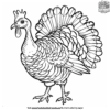 Realistic Turkey Coloring Pages