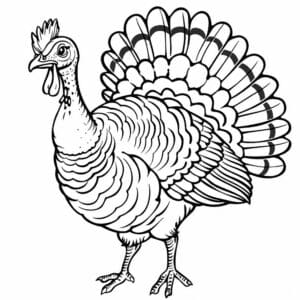 Cool Realistic Turkey Coloring Pages