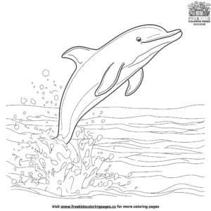 Simple And Easy Dolphin Coloring Pages For Young Artists