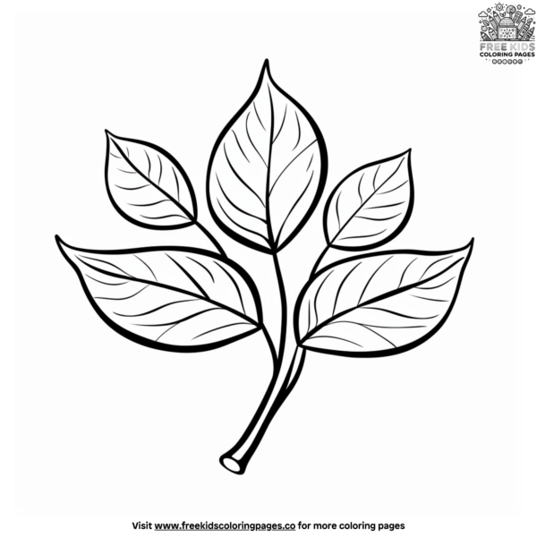 Simple Leaf Coloring Pages