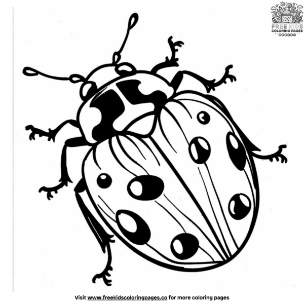 Easy Bug Coloring Pages