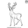 Easy Deer Coloring Pages