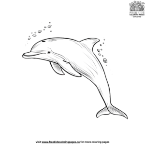 easy dolphin coloring pages