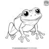 Smooth Frog Coloring Pages