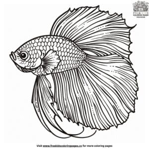 Playful And Simple Fish Coloring Pages