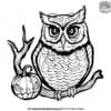 Chilling Halloween Owl Coloring Page Collection: Add Some Magic To Halloween