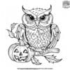 Scary Halloween Owl Coloring Page Collection: Add Some Magic To Halloween