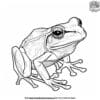 Cool Realistic Frog Coloring Pages