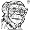 Realistic Monkey Coloring Pages