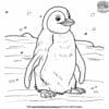 Extraordinary Stunning Realistic Penguin Coloring Pages