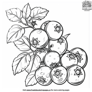 Summer Fruit Coloring Pages