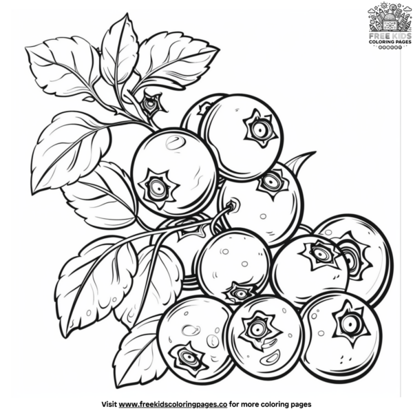 Summer Fruit Coloring Pages