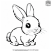 Little Bunny Coloring Pages