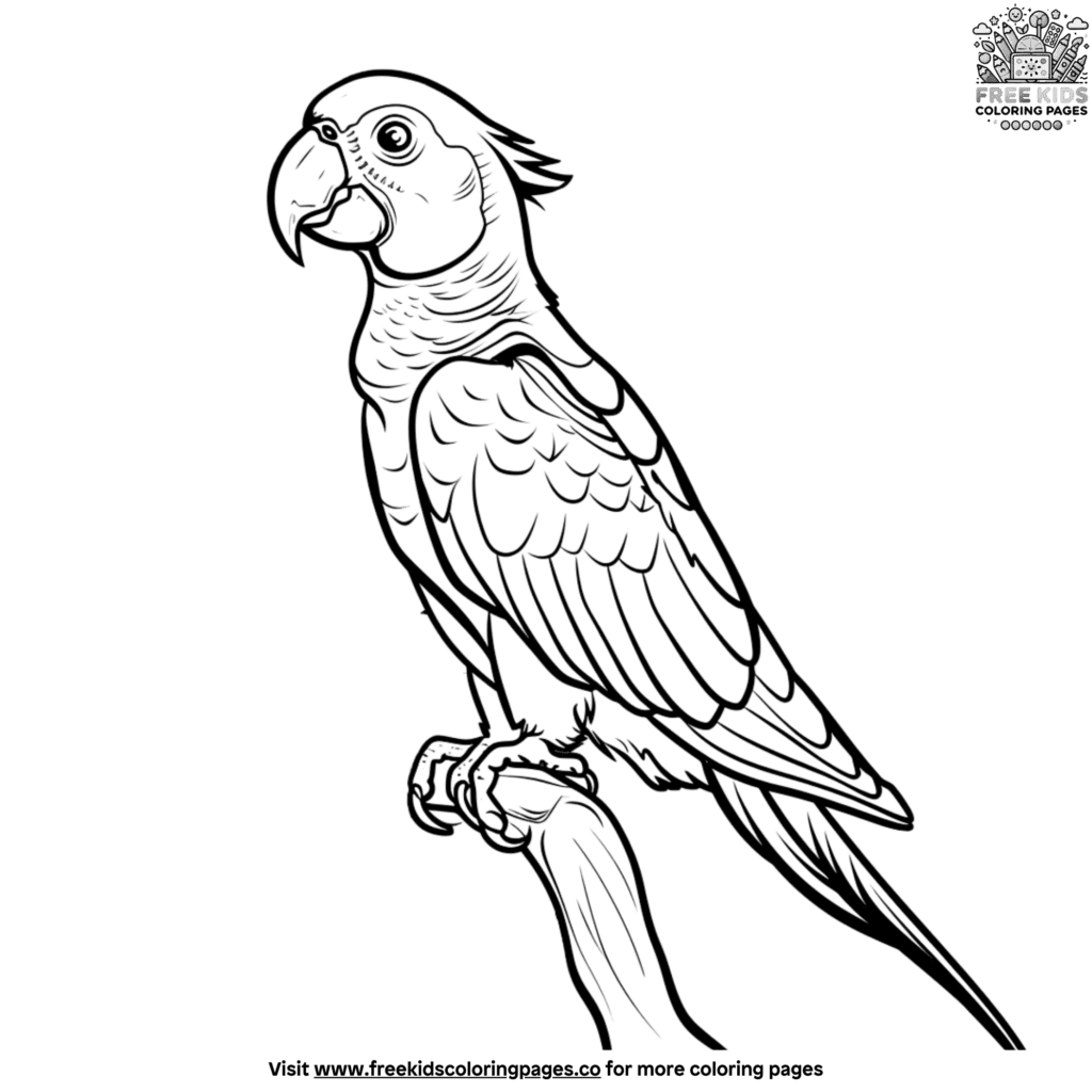 Dynamic exotic bird coloring pages