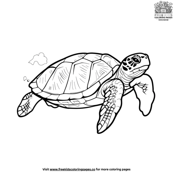 Vibrant Sea Turtle Coloring Pages for Ocean Lovers
