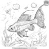 Lovely Tropical Fish Coloring Pages