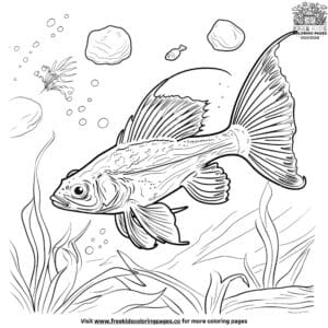 Lovely tropical fish coloring pages