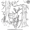 Deer Camp Coloring Pages