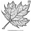 Tumble Leaf Coloring Pages