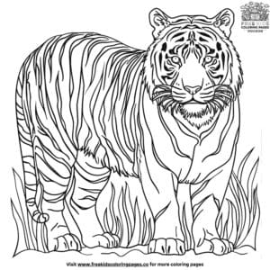 White Tiger Coloring Pages