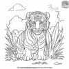 White Tiger In A Jungle Coloring Pages