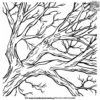 Tree Branch Coloring Page