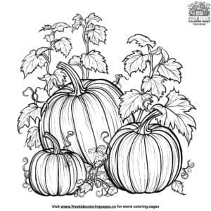 Vegetable Garden Coloring Pages