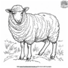 Delightful Farm Animal Coloring Pages